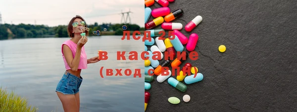сатива Покачи