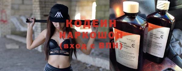 сатива Покачи