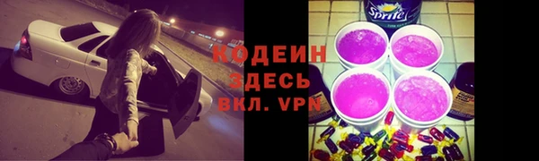 сатива Покачи