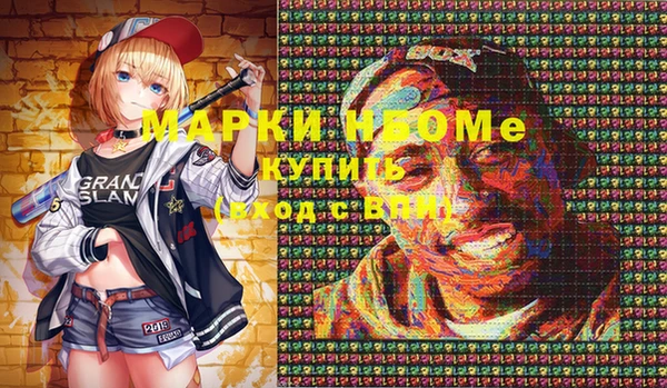 сатива Покачи