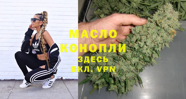 сатива Покачи