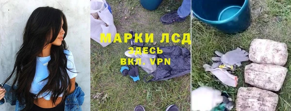 сатива Покачи
