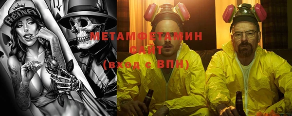 сатива Покачи