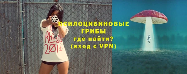 сатива Покачи
