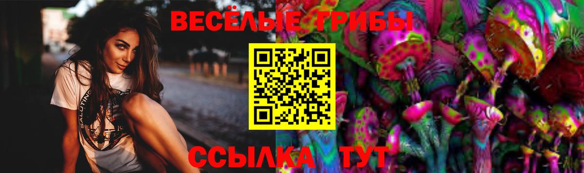 Галлюциногенные грибы Psilocybe  Вход с VPN  Великие Луки 